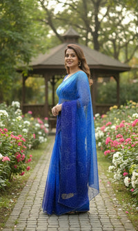 Blue Chiffon Handwork Saree