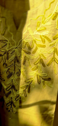 Olive Green Embroidered Cotton Kurta Pant Set